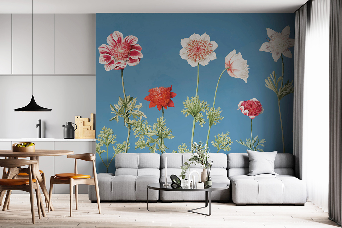 anemoni in casa
